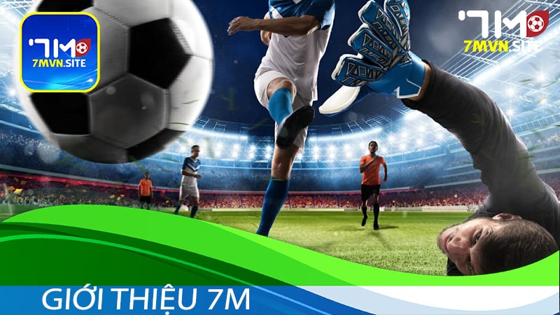 Giới thiệu 7m