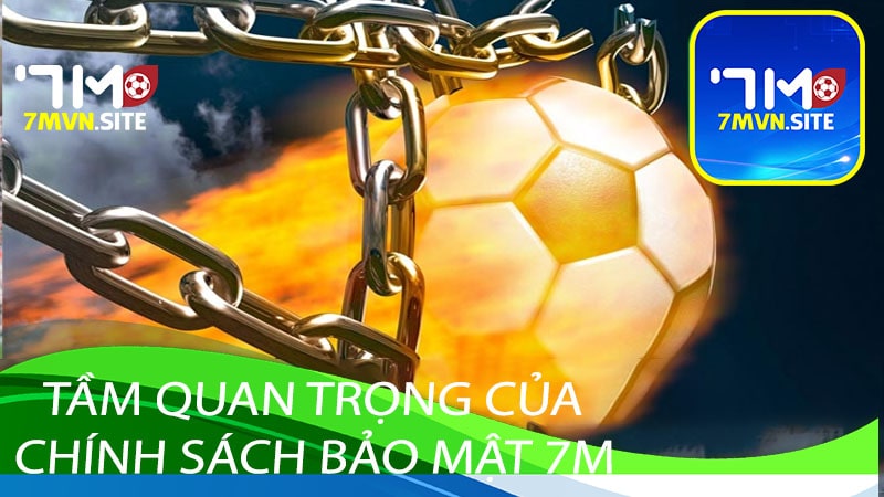 Tầm quan trọng của Chính sách bảo mật 7m