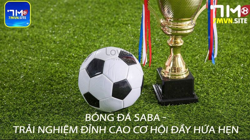 Bóng đá saba - Trải nghiệm đỉnh cao cơ hội đầy hứa hẹn