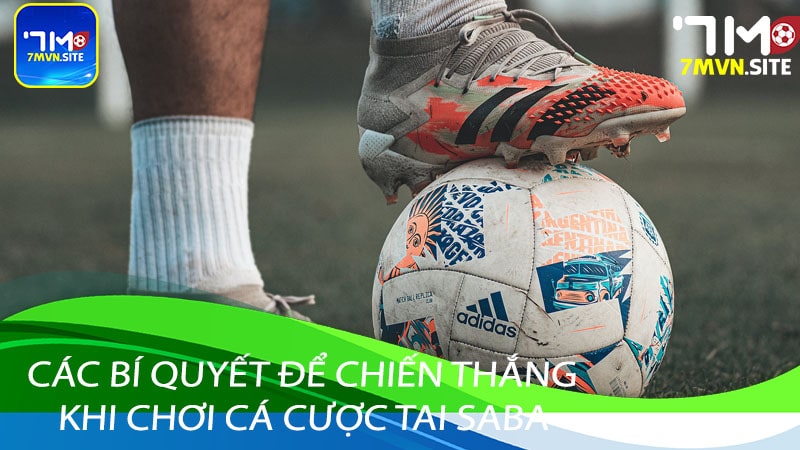 Các bí quyết để chiến thắng khi chơi cá cược tai saba